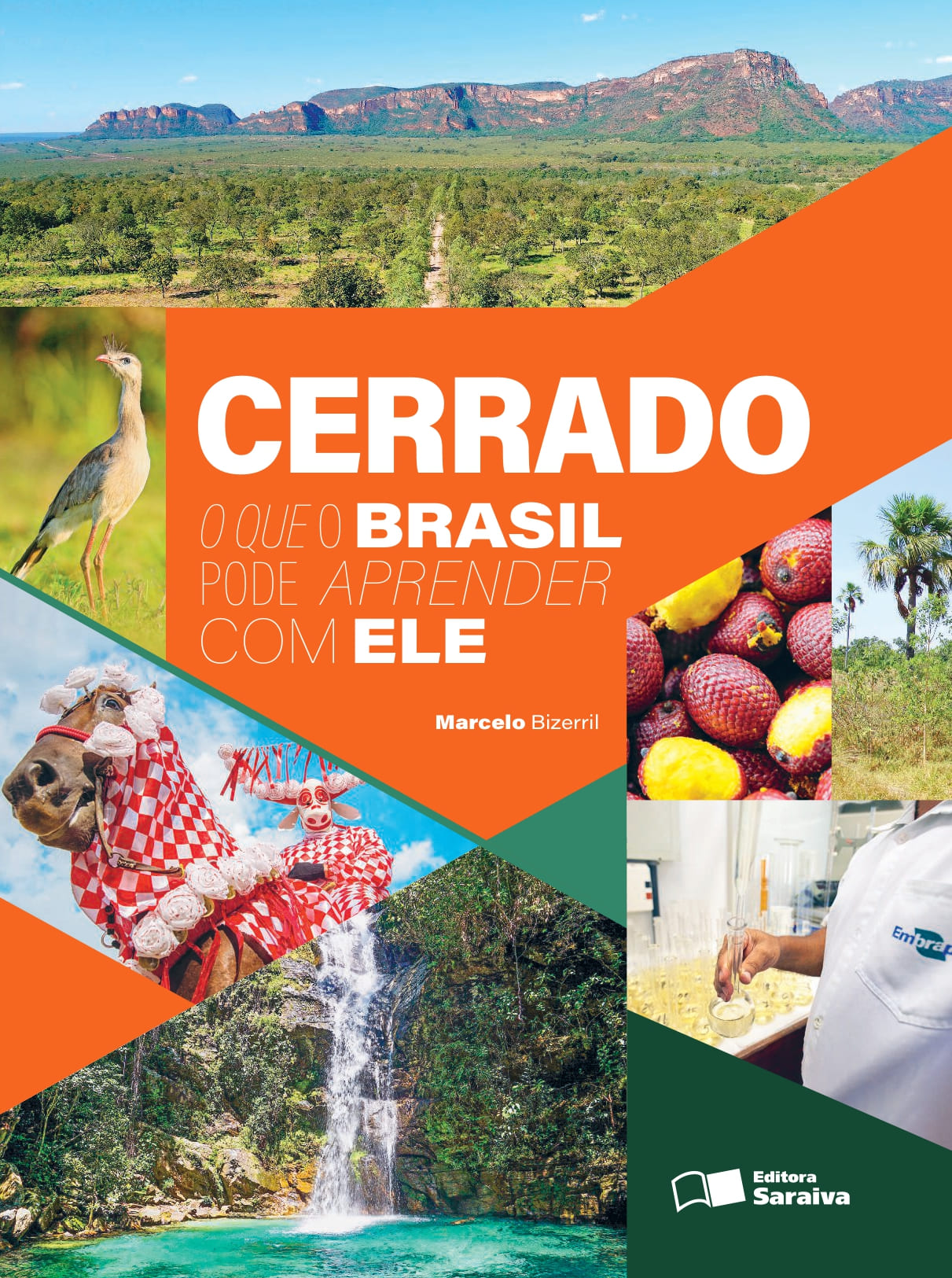 CERRADO - O que o Brasil pode aprender com ele